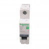 Disjoncteur 1P 4500 A C 20A