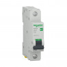 Disjoncteur 1P 4500 A C 32A