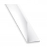 P50 Cornière inégale 15x25mm PVC blc 2M