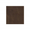 Carrelage sol60X60cm06GSALN-113.X0P
