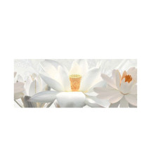Carrelage mural 30x60cm   Staturio decor HL 01