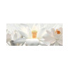 Carrelage mural 30x60cm Staturio decor HL 01