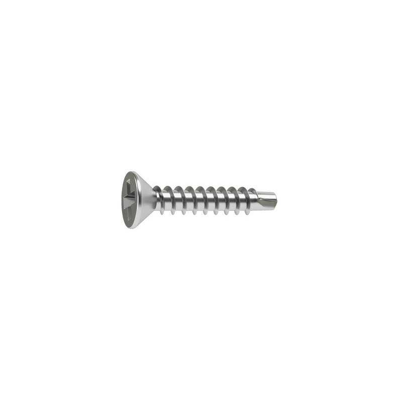 Lot de 30 Vis autoperceuse Acier Tête Fraisée Phillips Standers X L.13 Mm