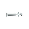 Lot de 12 Boulons Tête Autofraisée Plate Acier Zingué L.30 Standers