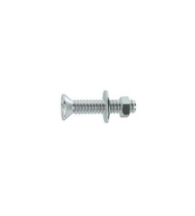 Lot de 25 boulons tête autofraisée plate acier Zingué L.12 X Diam.4 Mm