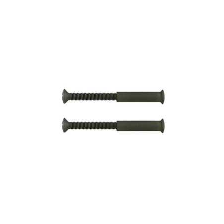 Lot de 2 Vis Acier Patiné L.4.5 X L.0.7