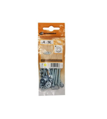 Lot de 15 Boulons Tête Autofraisée Plate Acier Zingué L.30 X Diam.4 Mm Standers