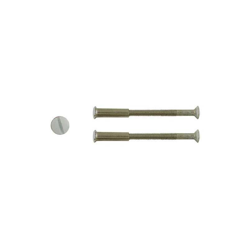 Lot de 2 vis acier laqué L.4.5 X L.0.7