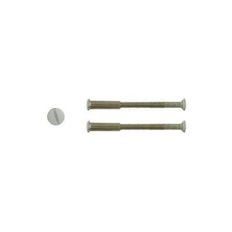 Lot de 2 vis acier laqué L.4.5 X L.0.7