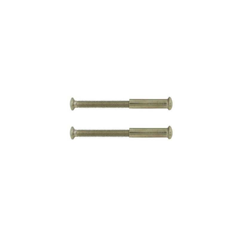 Lot de 2 Vis Acier NickelÃ© L.4.5 X L.0.7