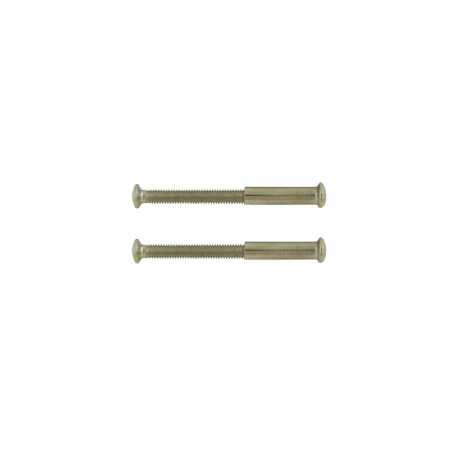 Lot de 2 Vis Acier NickelÃ© L.4.5 X L.0.7