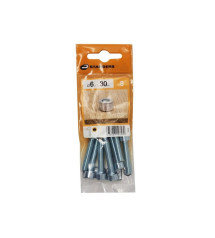 Lot de 8 Vis Pas Métrique Tête Cylindrique Bombée Acier Zingué L.30 Standers