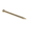 Clous SpÃ©cial BÃ©ton Acier Standers tÃªte Homme Diam.1.5 X L.20 Mm