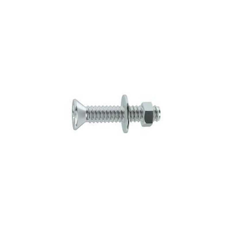 Lot de 8 Boulons Tête Autofraisée Plate Acier Zingué L.30 Standers