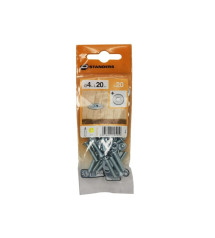 Lot de 20 Boulons Tête Autofraisée Plate Acier Zingué L.20 X Diam.4 Mm Standers