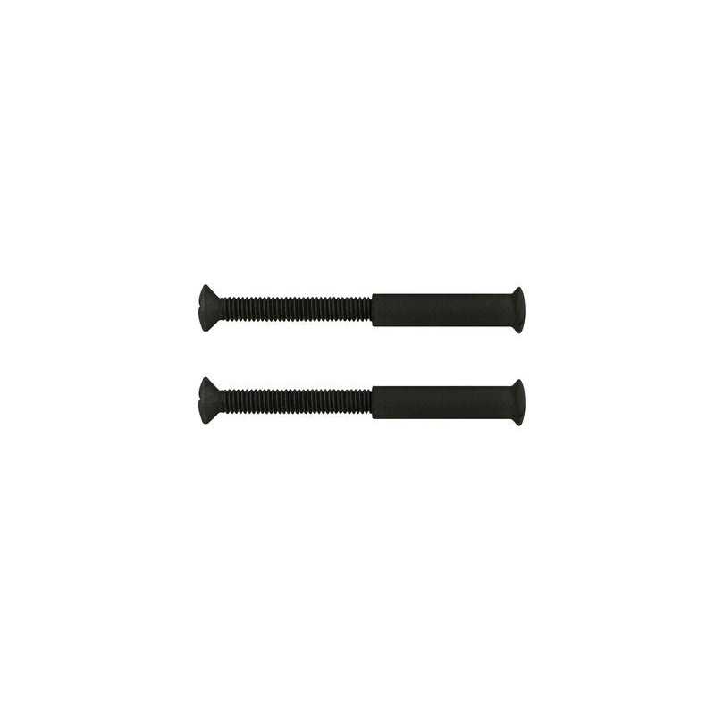 Lot de 2 Vis Acier PatinÃ© L.4.5 X L.0.7