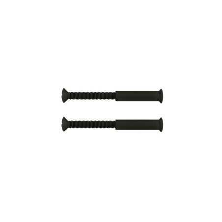 Lot de 2 Vis Acier PatinÃ© L.4.5 X L.0.7