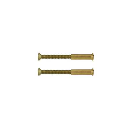 Lot de 2 Vis Acier Laitonné L.4.5 X L.0.7